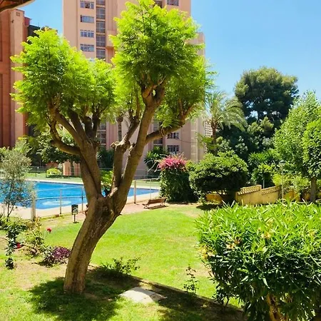 Duplex Mensual Vacaciones. Apartamento Benidorm